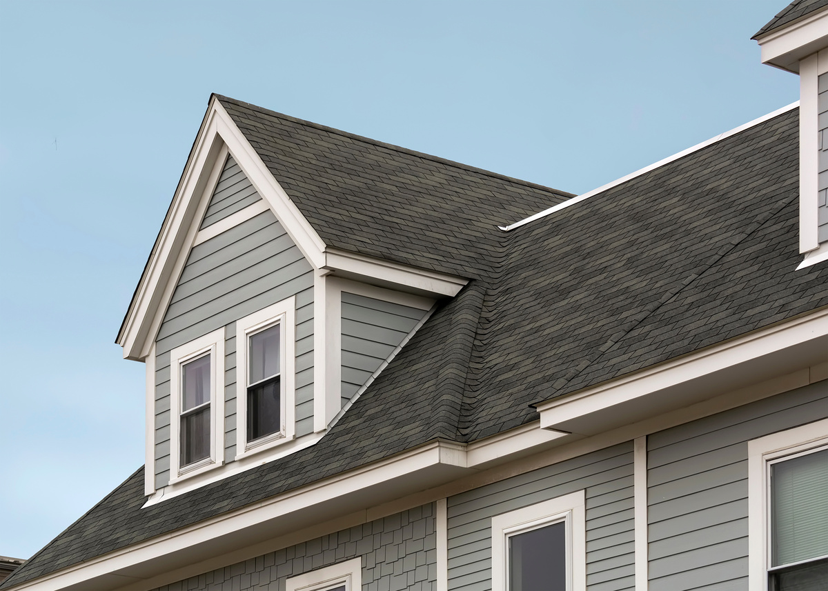 black shingle roof on home