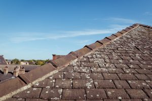 slate ridge cap shingles