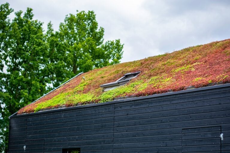 A sloped black building features a vibrant green roof covered with various plants, displaying shades of green and red, with a window set into the roof and leafy trees in the background.