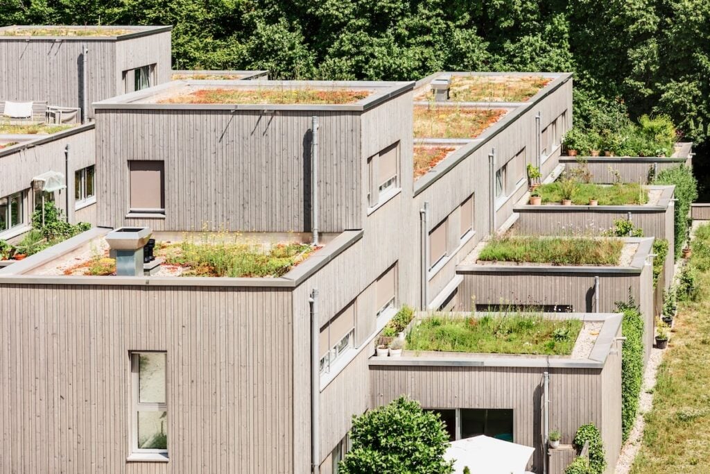 Row of modern wooden houses with green roofs covered in lush vegetation, set alongside a grassy area and surrounded by trees. The buildings feature large windows and minimalistic design for a harmonious, eco-friendly look.