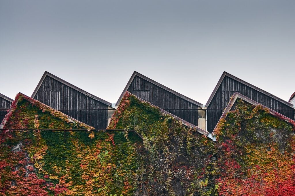 medium shot on a old fashioned factory's zigzag roof with autumn colorful leaves around