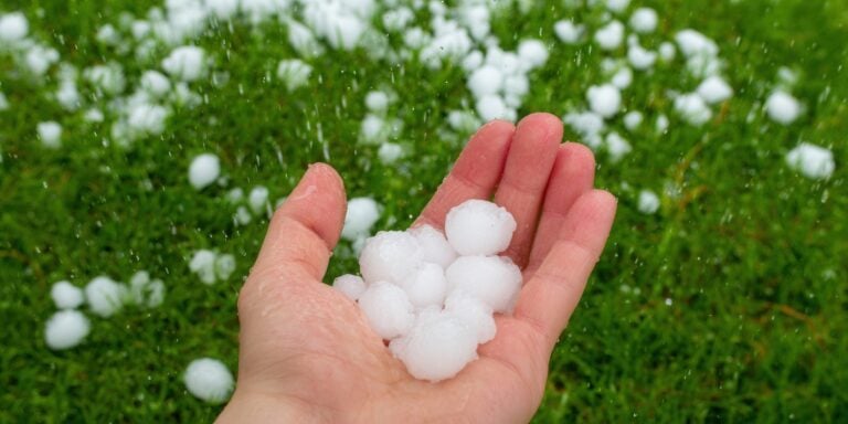 Hail Damage